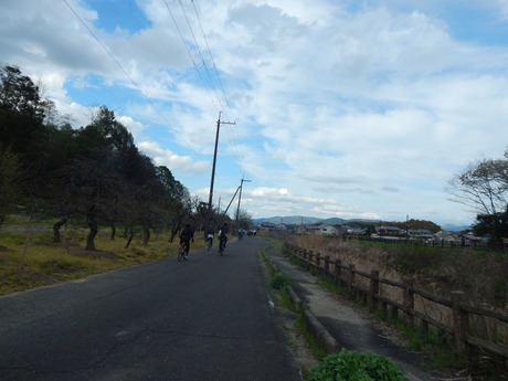 DSCN6552