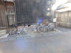 s-P2250247suzuka