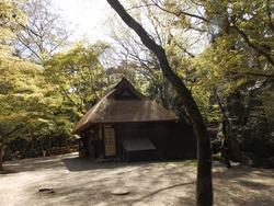 s-P4010227nara