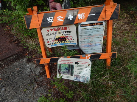 DSCN0881