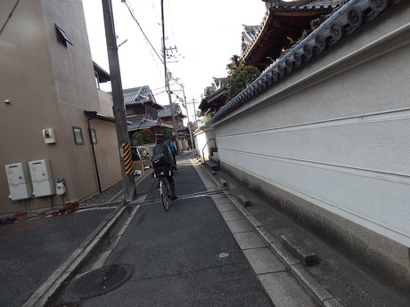DSCN3008