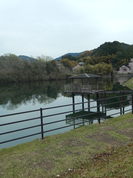 DSCN6269