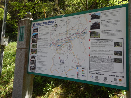 DSCN0246