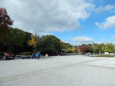 DSCN6540