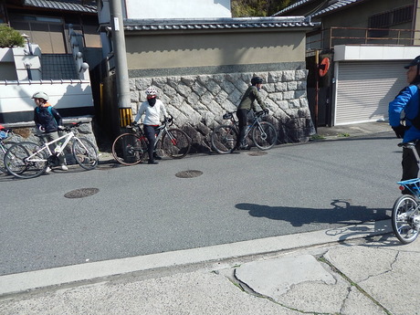 DSCN3953