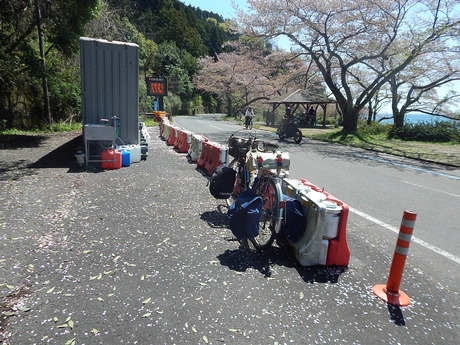 DSCN6621