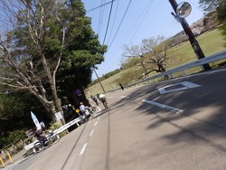 s-P4010166nara