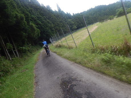 DSCN8081