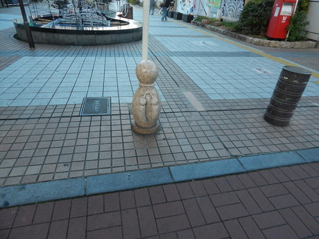 DSCN8982