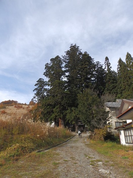 s-PB040700nagano