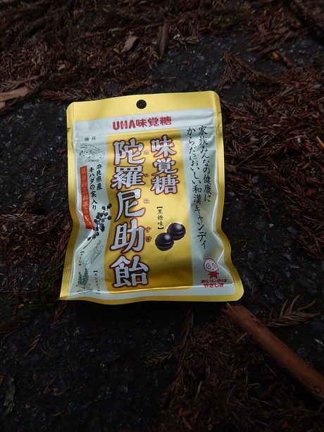 DSCN7652