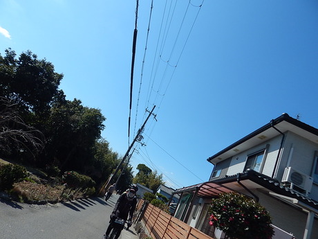 DSCN6831