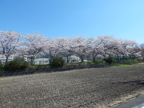 DSCN8719