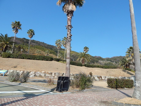 DSCN3415
