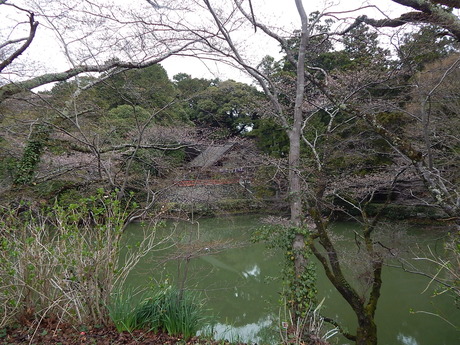 DSCN7521