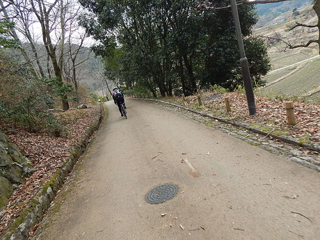 DSCN6714