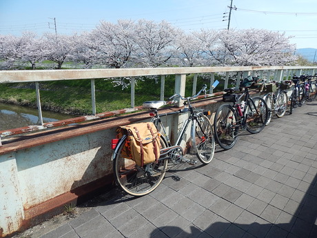 DSCN8415