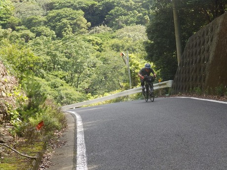 s-P7060186awajishima