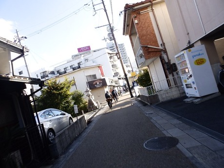 s-PA290057sagano
