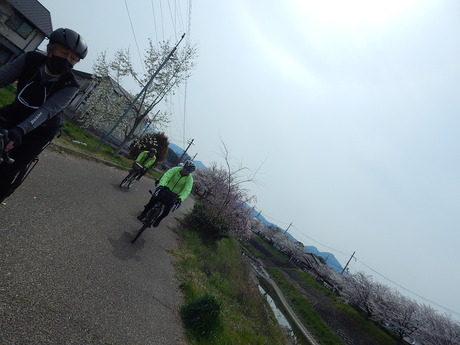 DSCN8539
