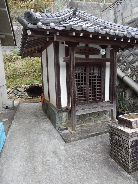 DSCN4169
