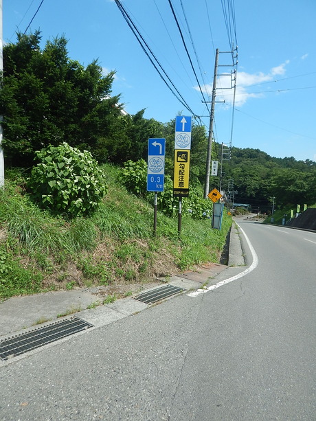 DSCN0278