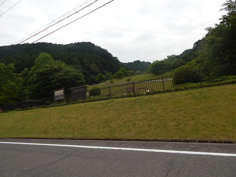 DSCN7794