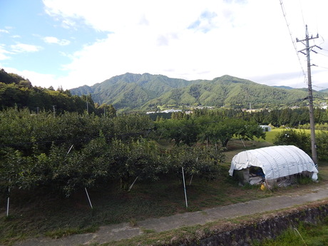 DSCN1053