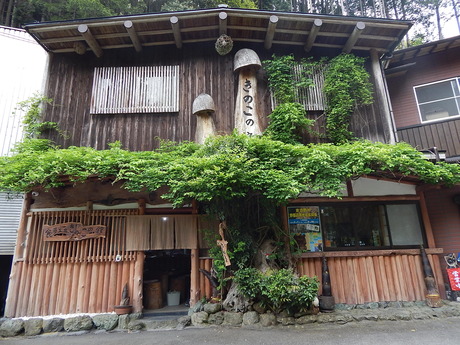 DSCN7701