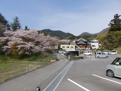 s-P4020037katsuragi