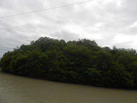 DSCN6819
