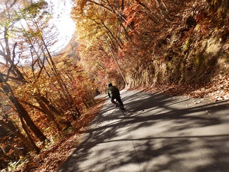 s-PB030419nagano