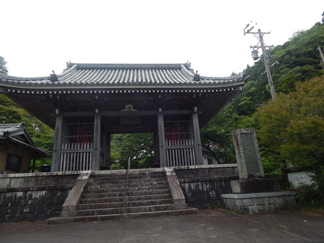 DSCN7876