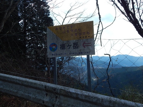 DSCN7859