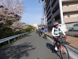 s-P4020007katsuragi