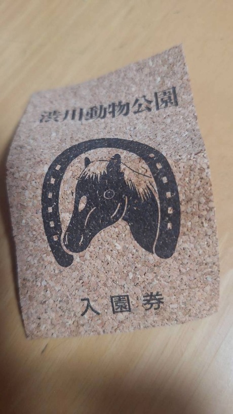 shibukawa001