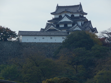 DSCN7003