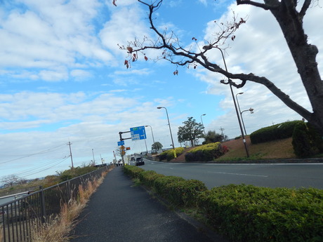 DSCN6669