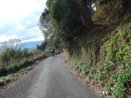 DSCN6463