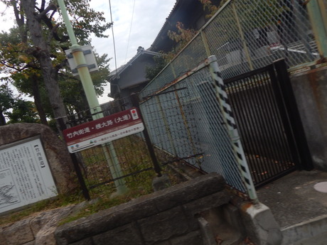 DSCN5233