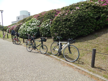 DSCN9517