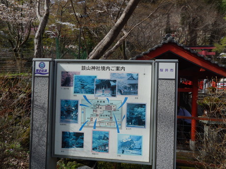 DSCN6417