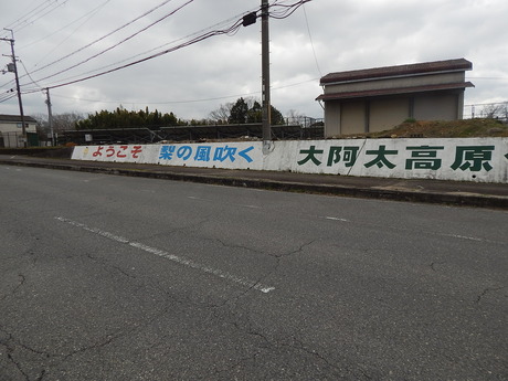 DSCN4182