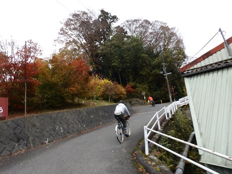 s-PB120121kaede