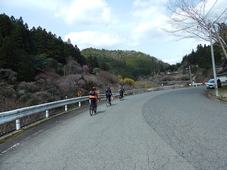 DSCN7765