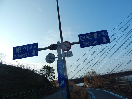 DSCN5024