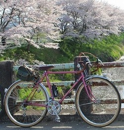 s-IMG_1194hounogawa (2)uda