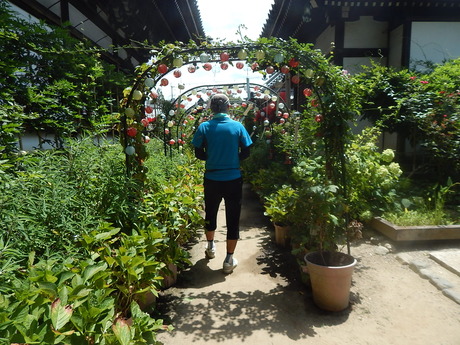DSCN0411