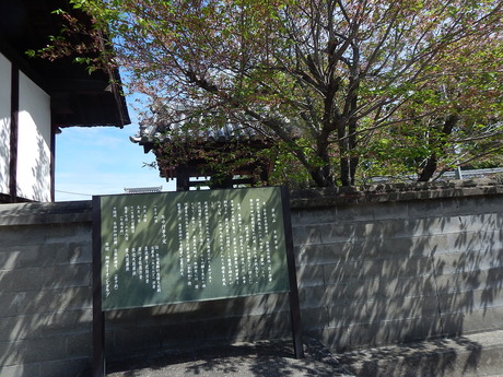 DSCN7066