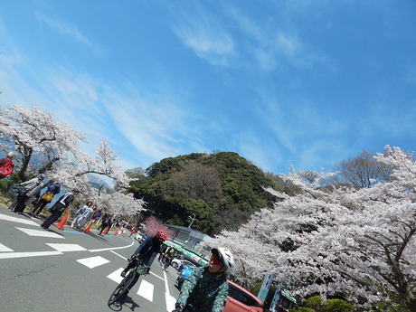 DSCN8867
